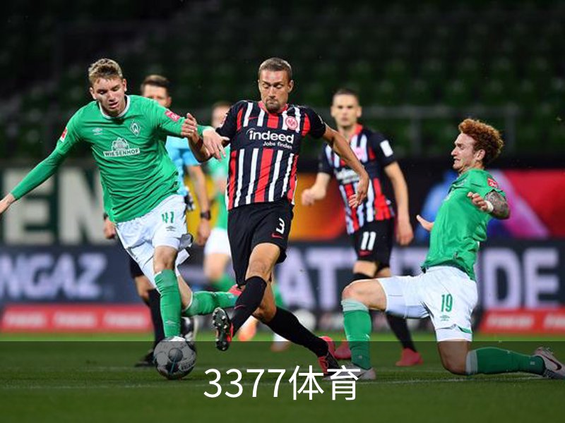 3377体育介绍